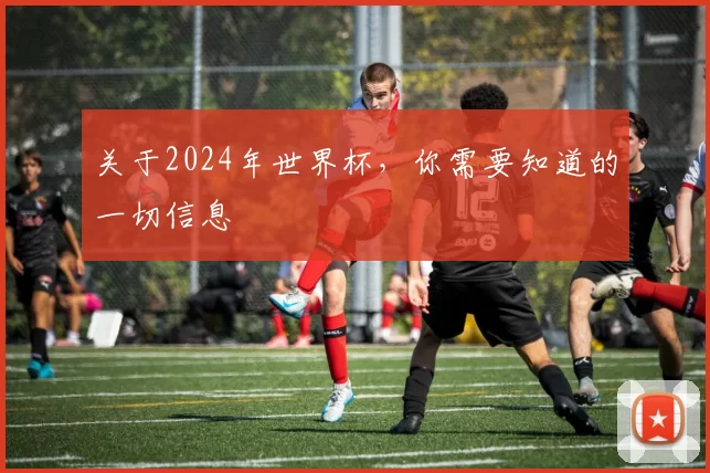 关于2024年世界杯,你需要知道的一切信息