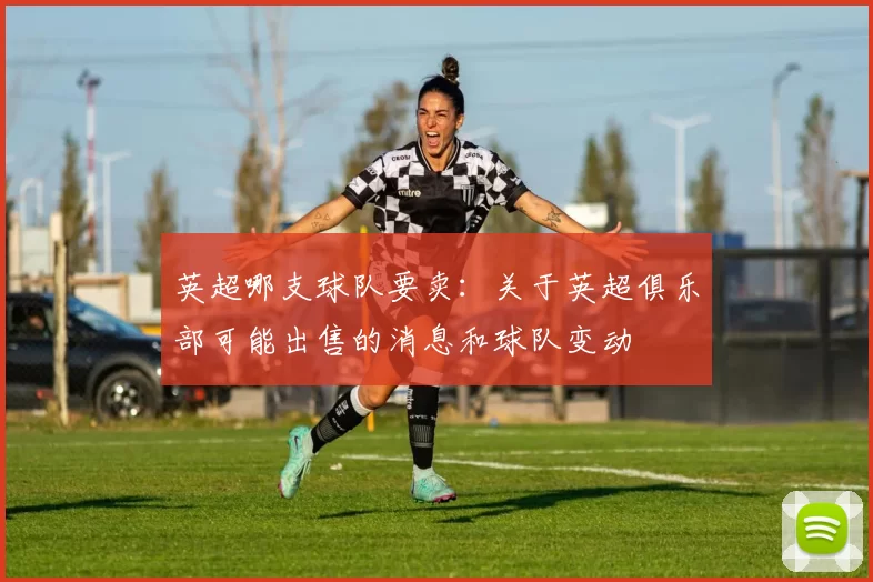 英超哪支球队要卖:关于英超俱乐部可能出售的消息和球队变动