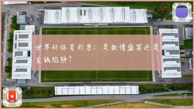 世界杯体育彩票:是激情盛宴还是金钱陷阱?