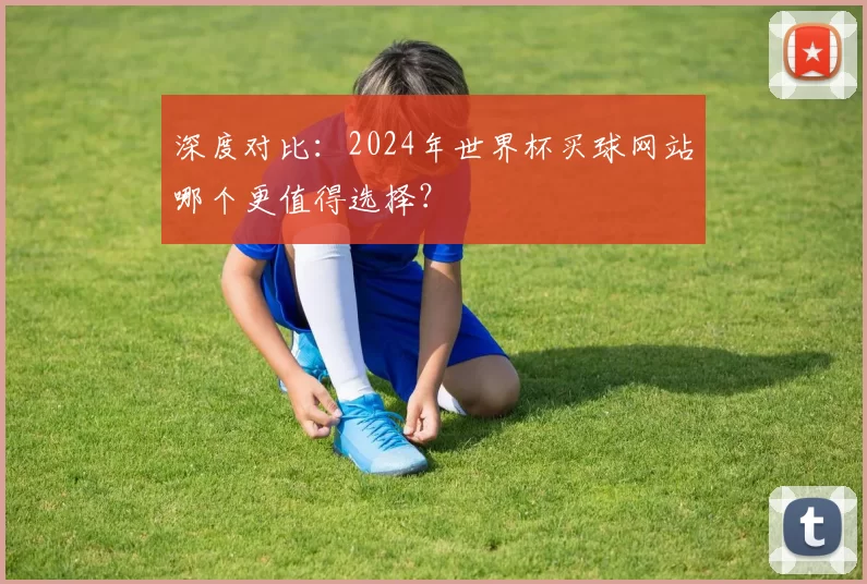 深度对比:2024年世界杯买球网站哪个更值得选择?