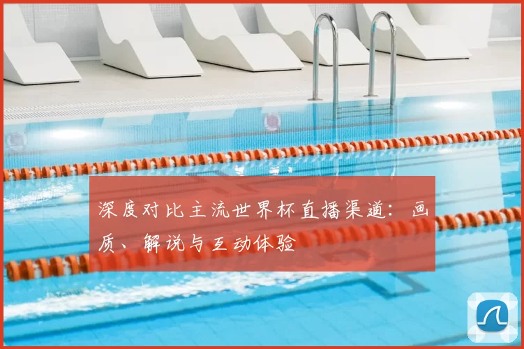 深度对比主流世界杯直播渠道：画质、解说与互动体验