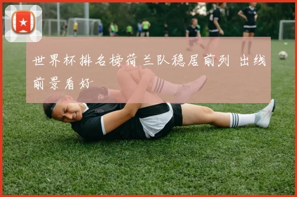 世界杯排名榜荷兰队稳居前列 出线前景看好
