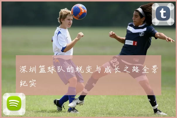 深圳篮球队的蜕变与成长之路全景纪实