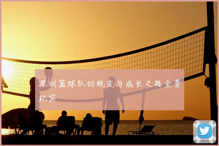 深圳篮球队的蜕变与成长之路全景纪实
