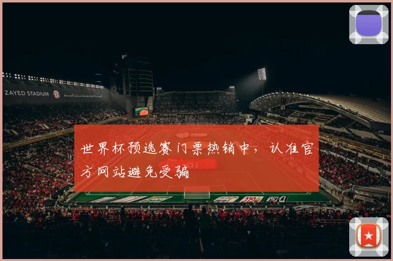 世界杯预选赛门票热销中，认准官方网站避免受骗