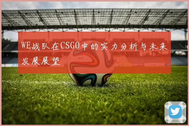 WE战队在CSGO中的实力分析与未来发展展望