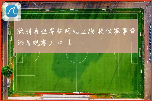 欧洲看世界杯网站上线 提供赛事资讯与观赛入口_1