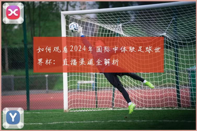 如何观看2024年国际中体联足球世界杯:直播渠道全解析